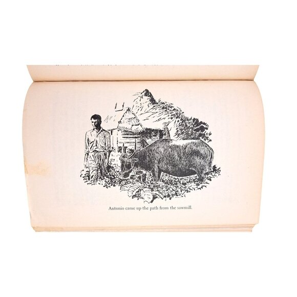 Vintage Robinson Crusoe USN Hardcover Book 1st Edition 1945 Tweed Blake Clark - Picture 11 of 13